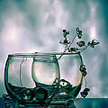 glass duo