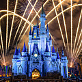 Disney World